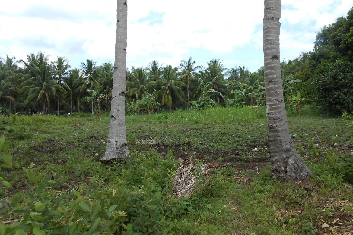Land for Sale in Liptong, Bacong, Negros Oriental – photo 6