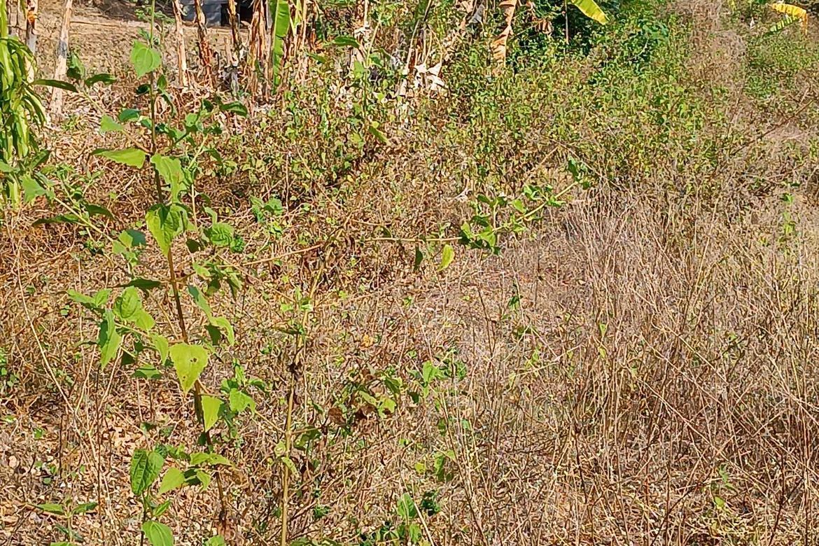 Land for Sale in Lisqueb, Bacnotan, La Union – photo 6