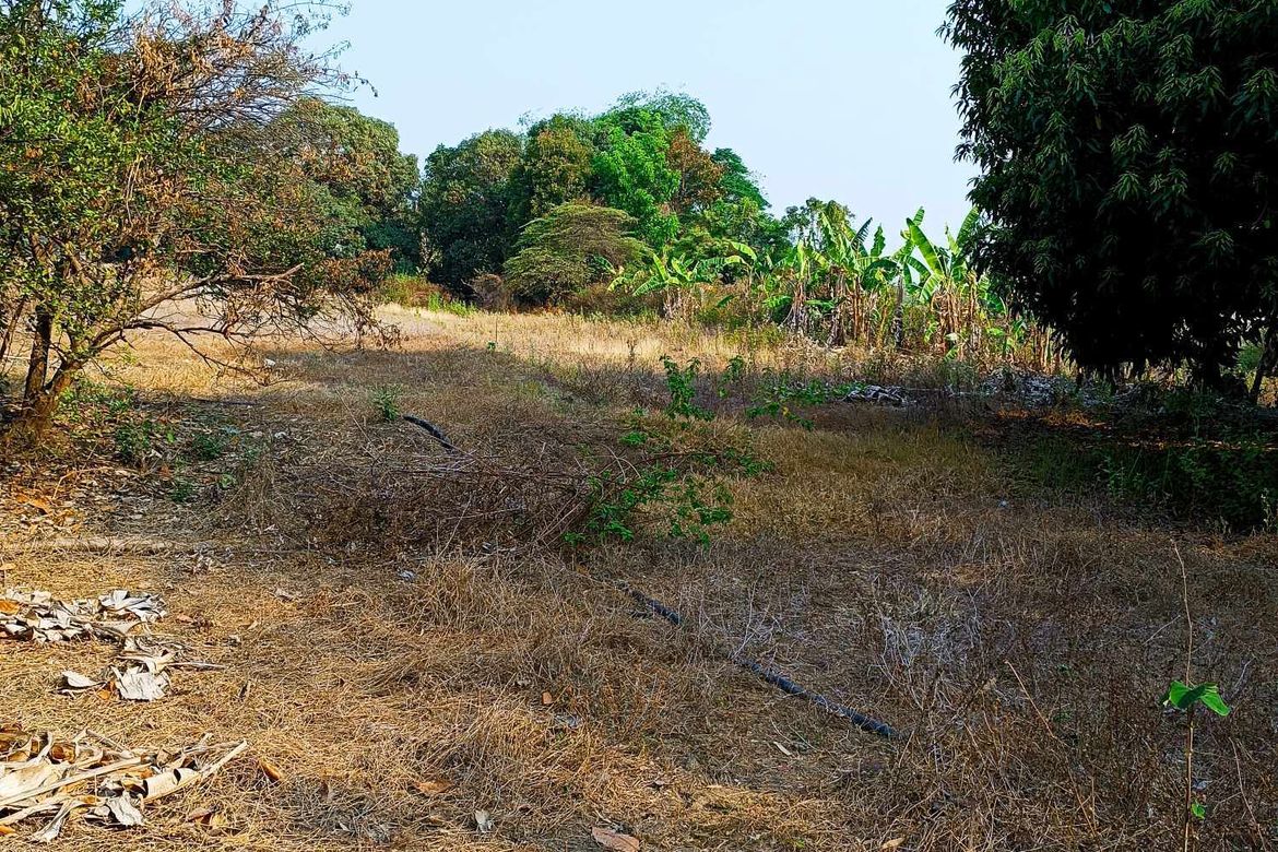 Land for Sale in Lisqueb, Bacnotan, La Union – photo 8
