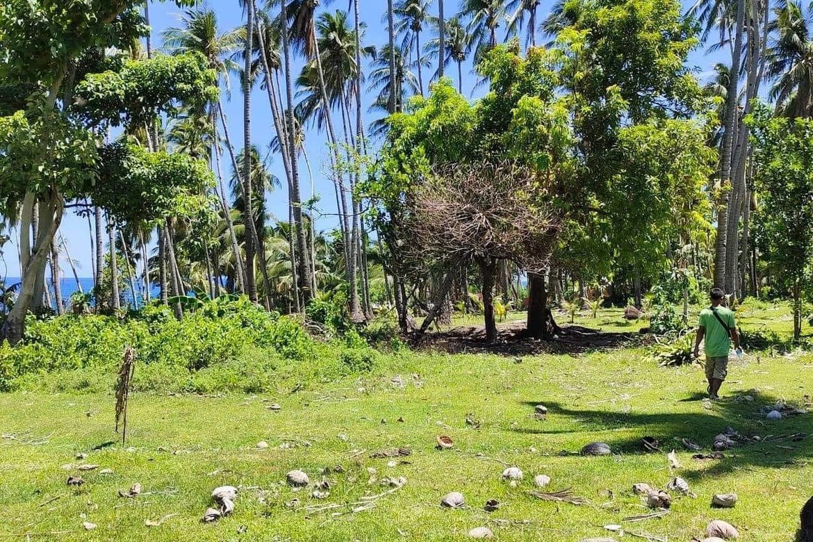 Land for Sale in Lisub B, Anini-y, Antique – photo 5