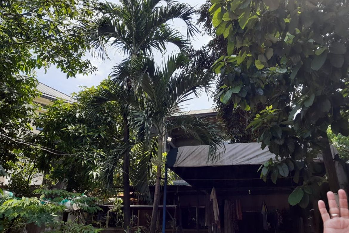 Land for Sale in Little Baguio, San Juan, Metro Manila – photo 3