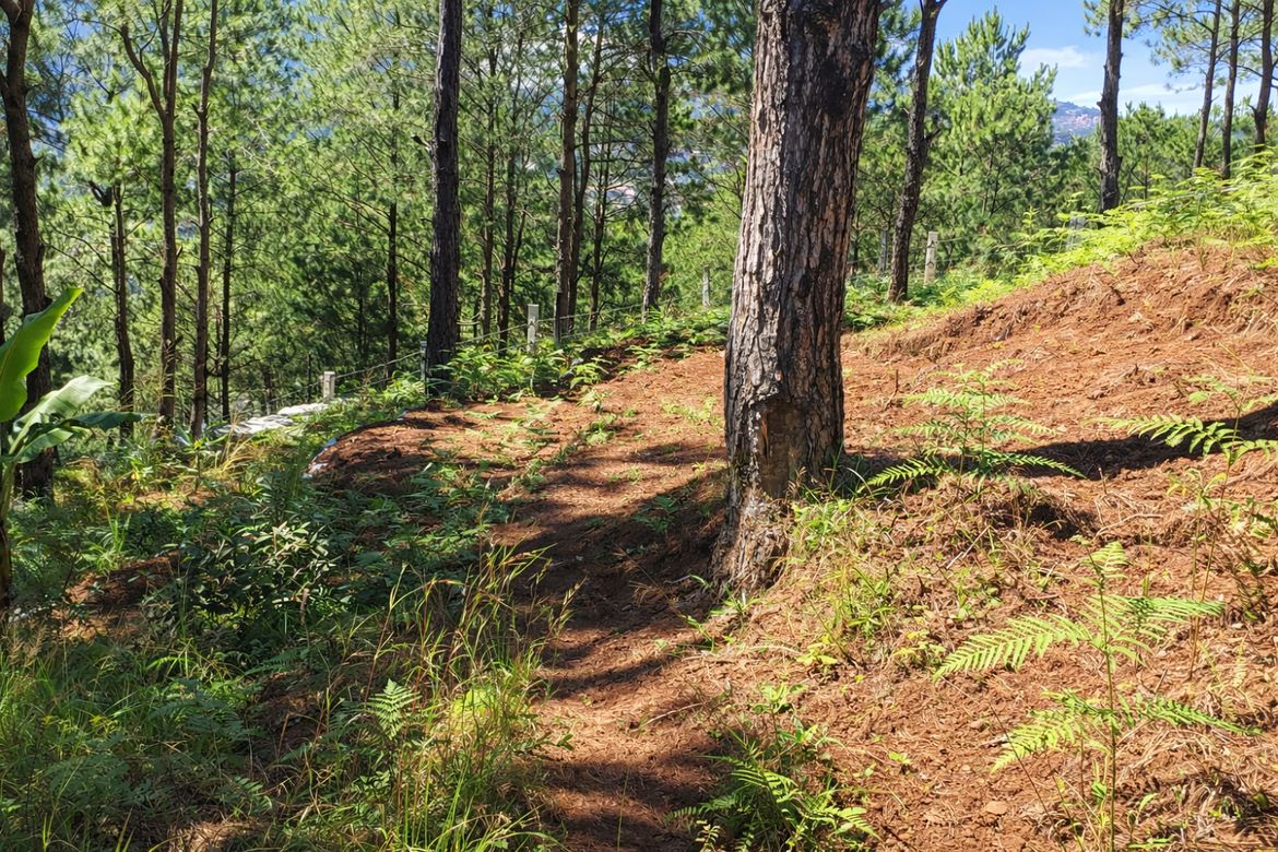 Land for Sale in Liwanag-Loakan, Baguio, Benguet – photo 2