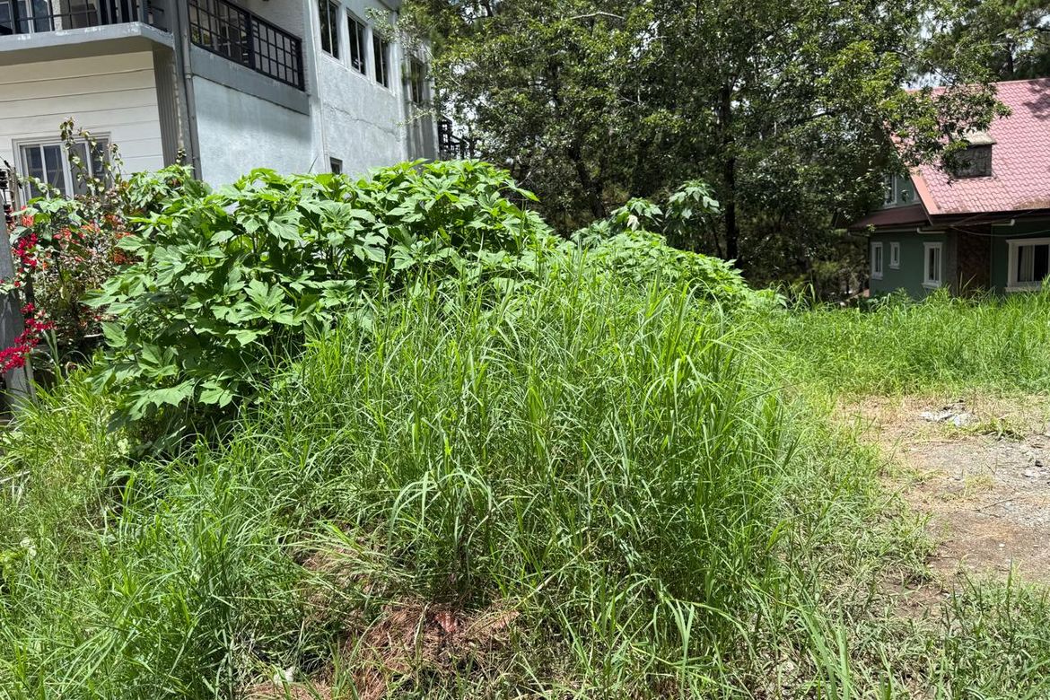 Land for Sale in Liwanag-Loakan, Baguio, Benguet – photo 2
