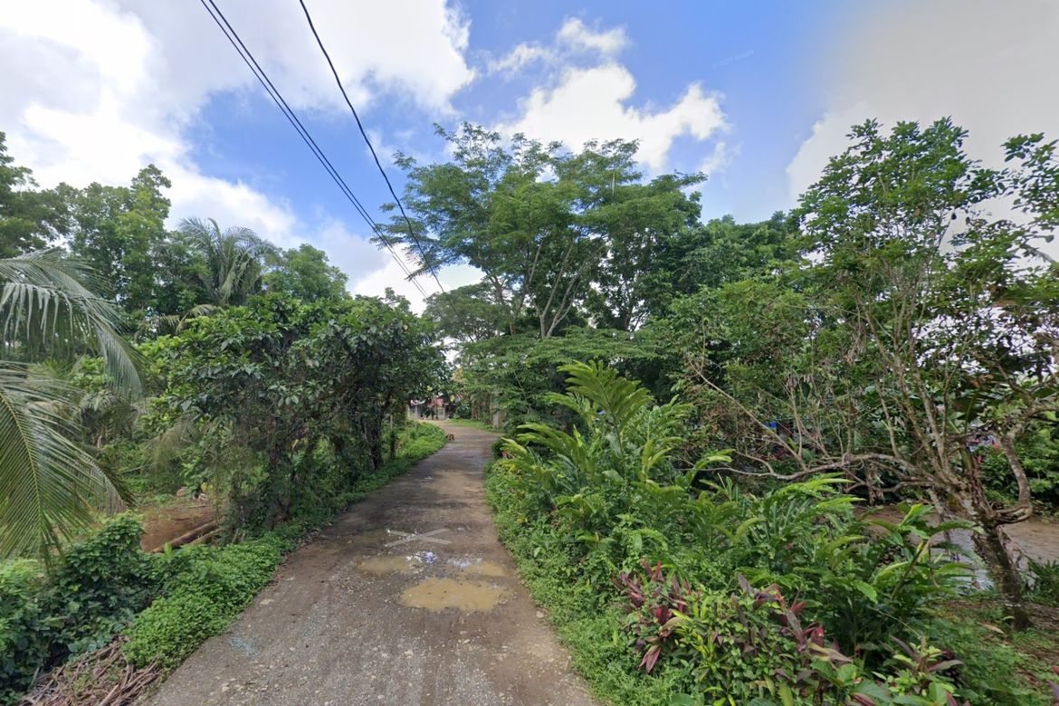 Land for Sale in Liwayway, Mauban, Quezon – photo 4