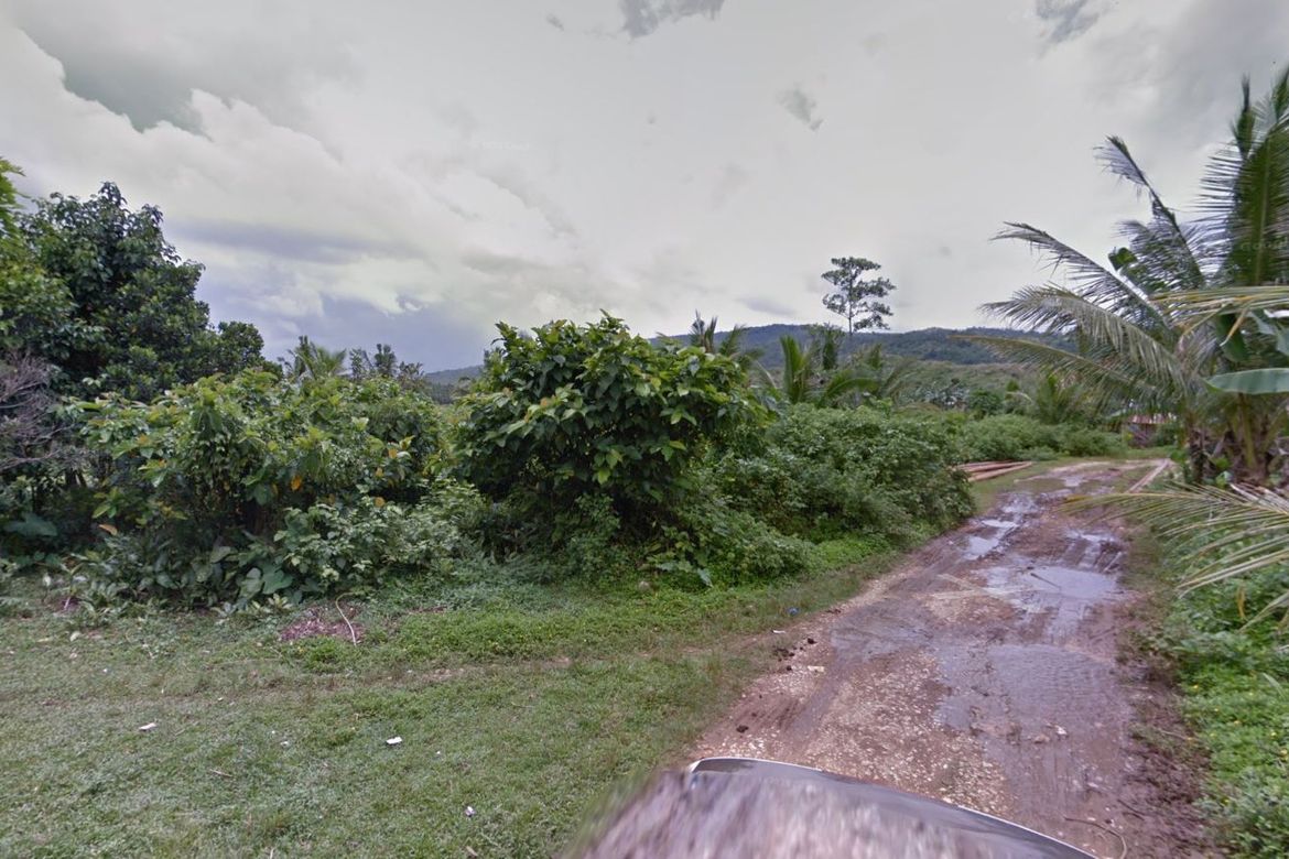Land for Sale in Liwayway, Mauban, Quezon – photo 7