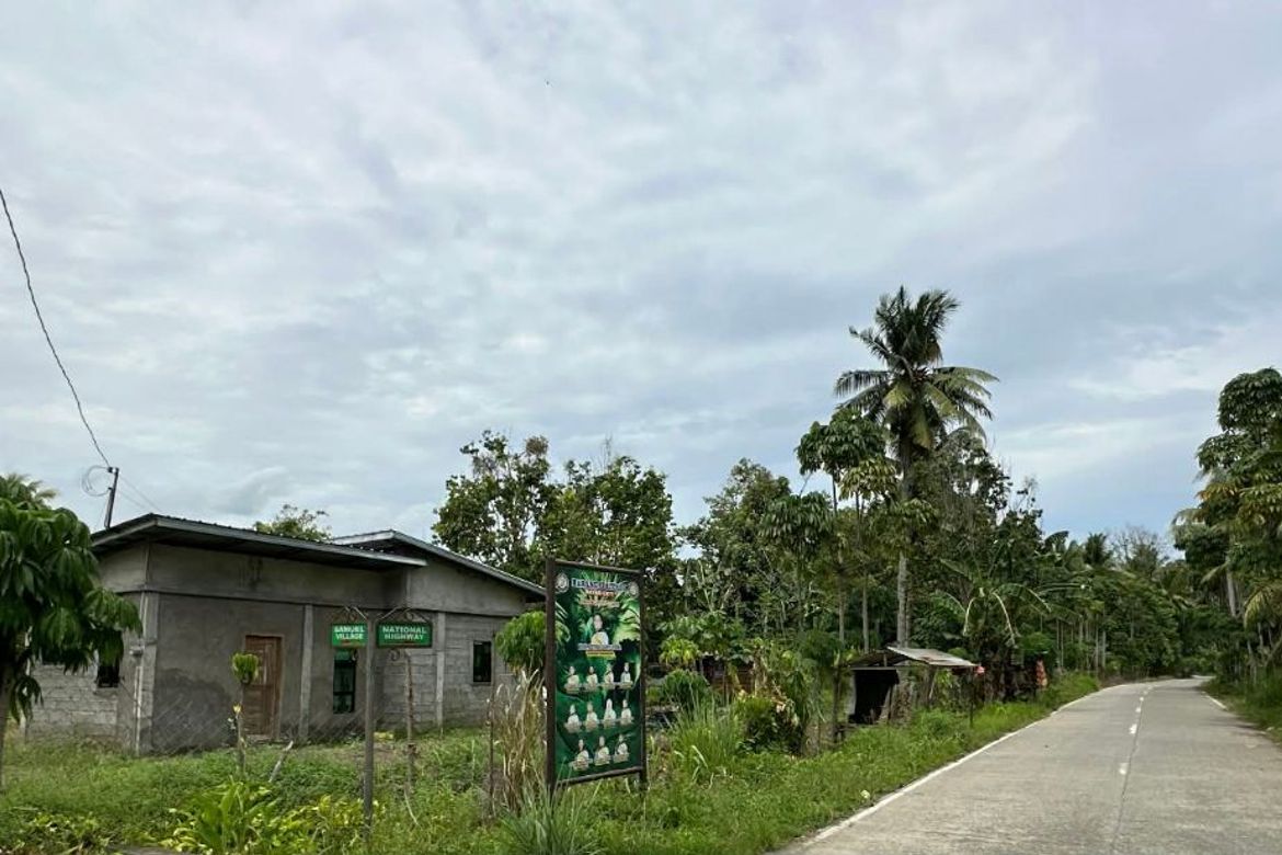 Land for Sale in Lizada, Davao City, Davao del Sur