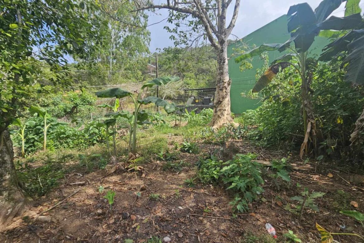 Land for Sale in Loakan Proper, Baguio, Benguet – photo 6