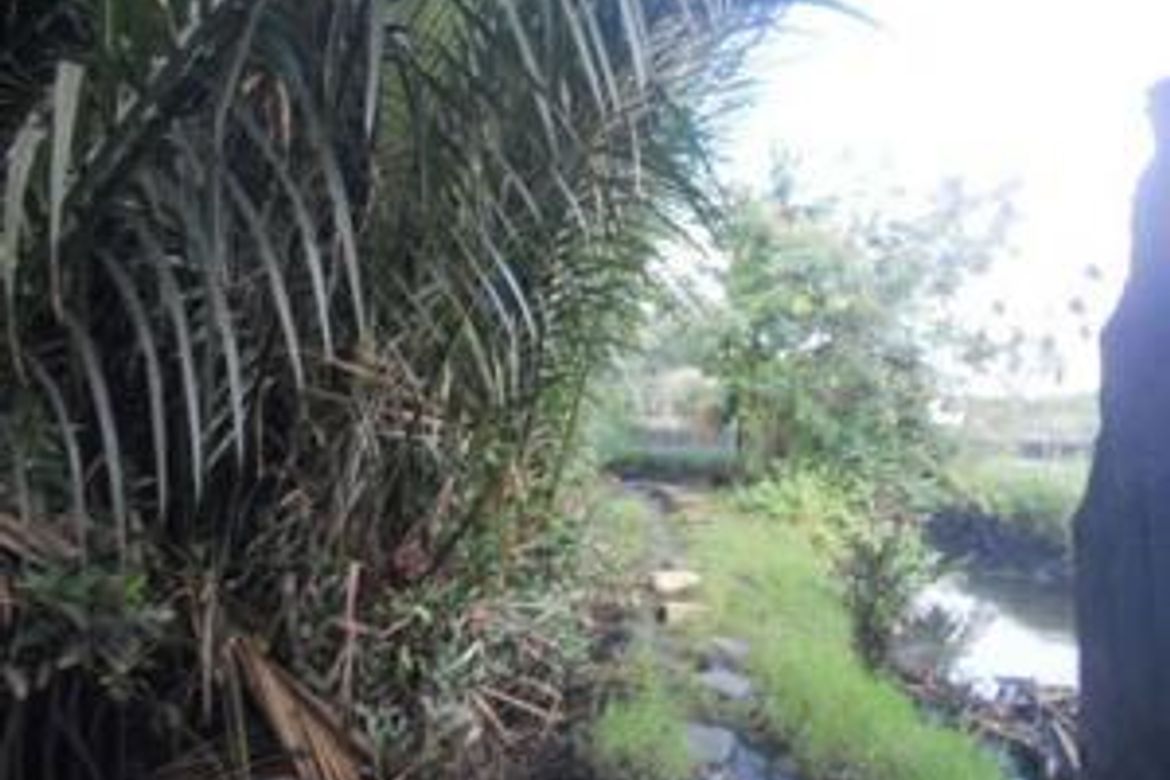 Land for Sale in Lolomboy, Bocaue, Bulacan – photo 4
