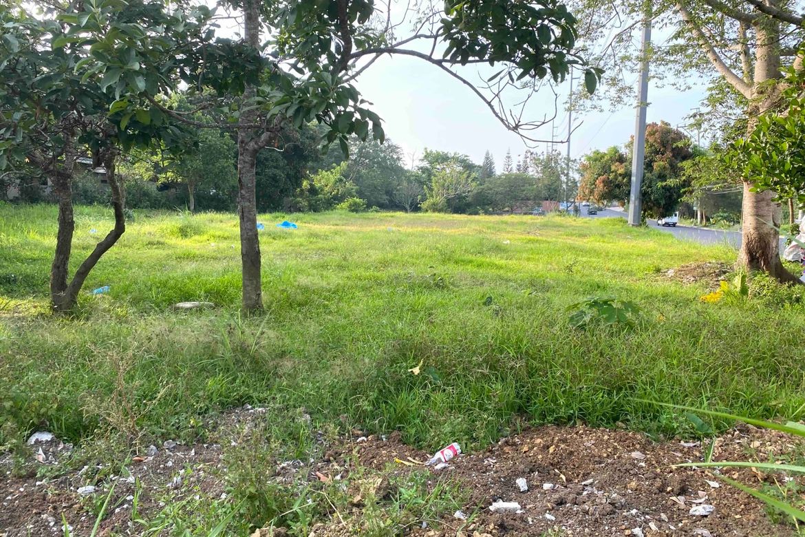 Land for Sale in Loma, Amadeo, Cavite – photo 2