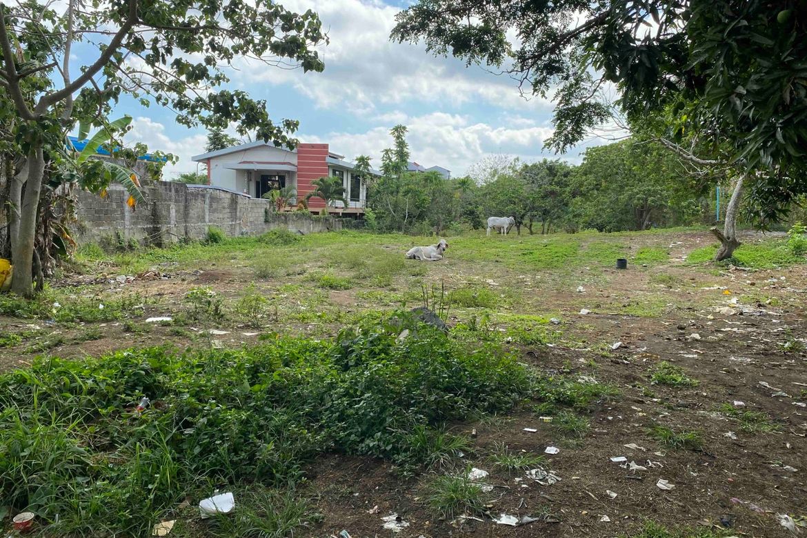 Land for Sale in Loma, Amadeo, Cavite – photo 4