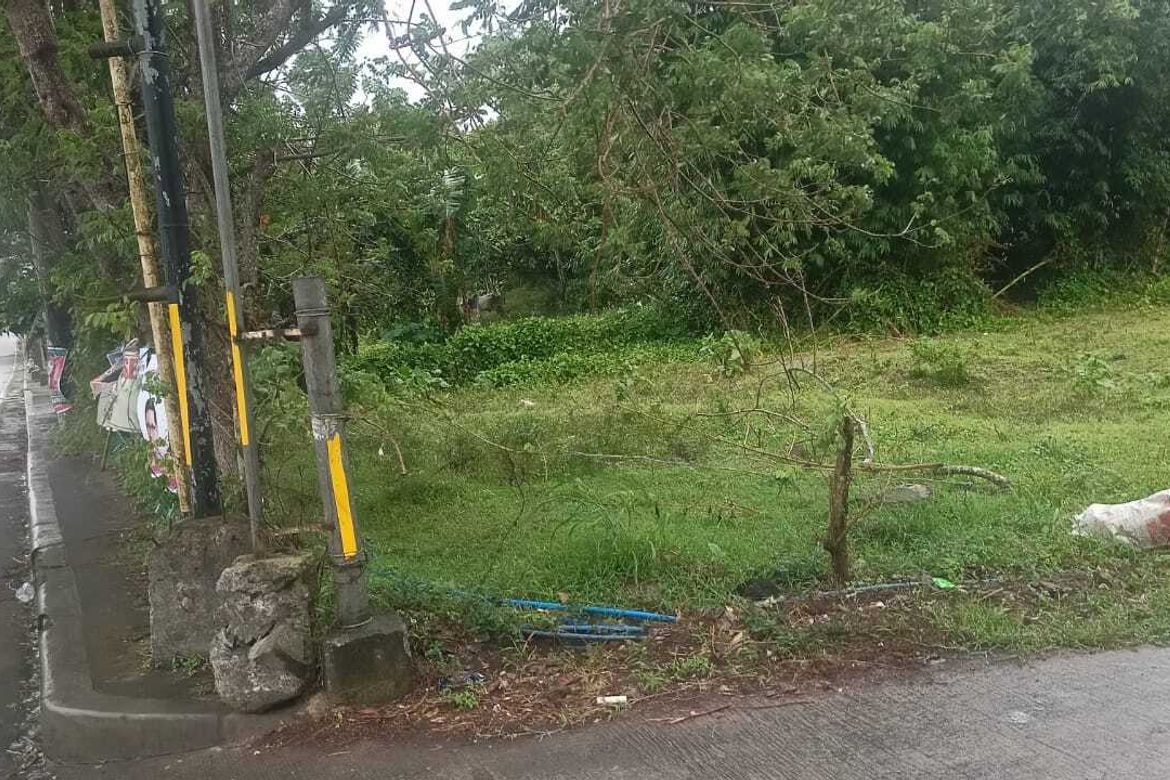 Land for Sale in Loma, Amadeo, Cavite – photo 2