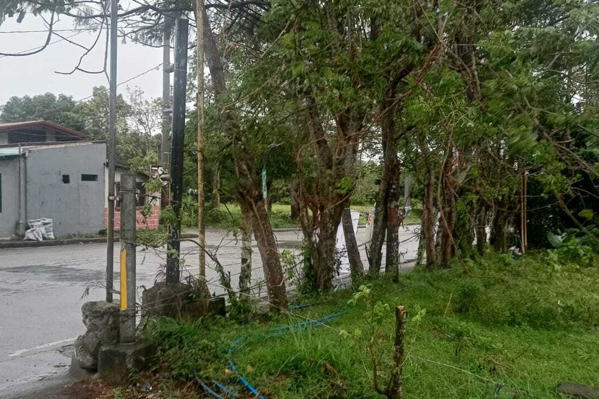 Land for Sale in Loma, Amadeo, Cavite – photo 4
