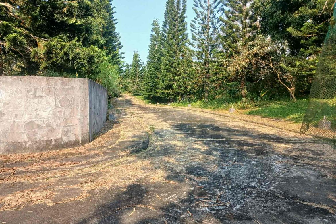 Land for Sale in Loma, Amadeo, Cavite – photo 3