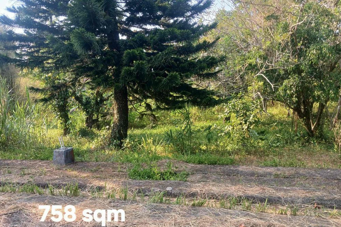 Land for Sale in Loma, Amadeo, Cavite – photo 5