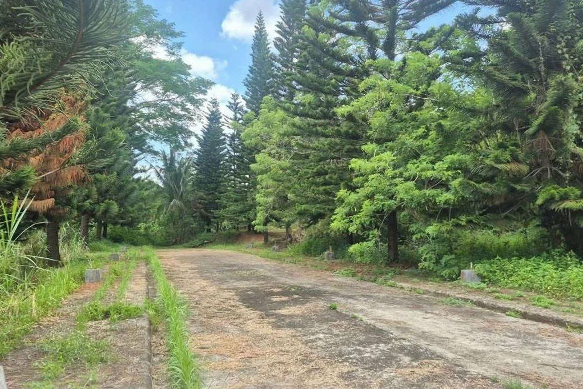 Land for Sale in Loma, Amadeo, Cavite