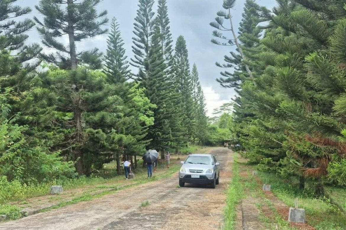 Land for Sale in Loma, Amadeo, Cavite – photo 3