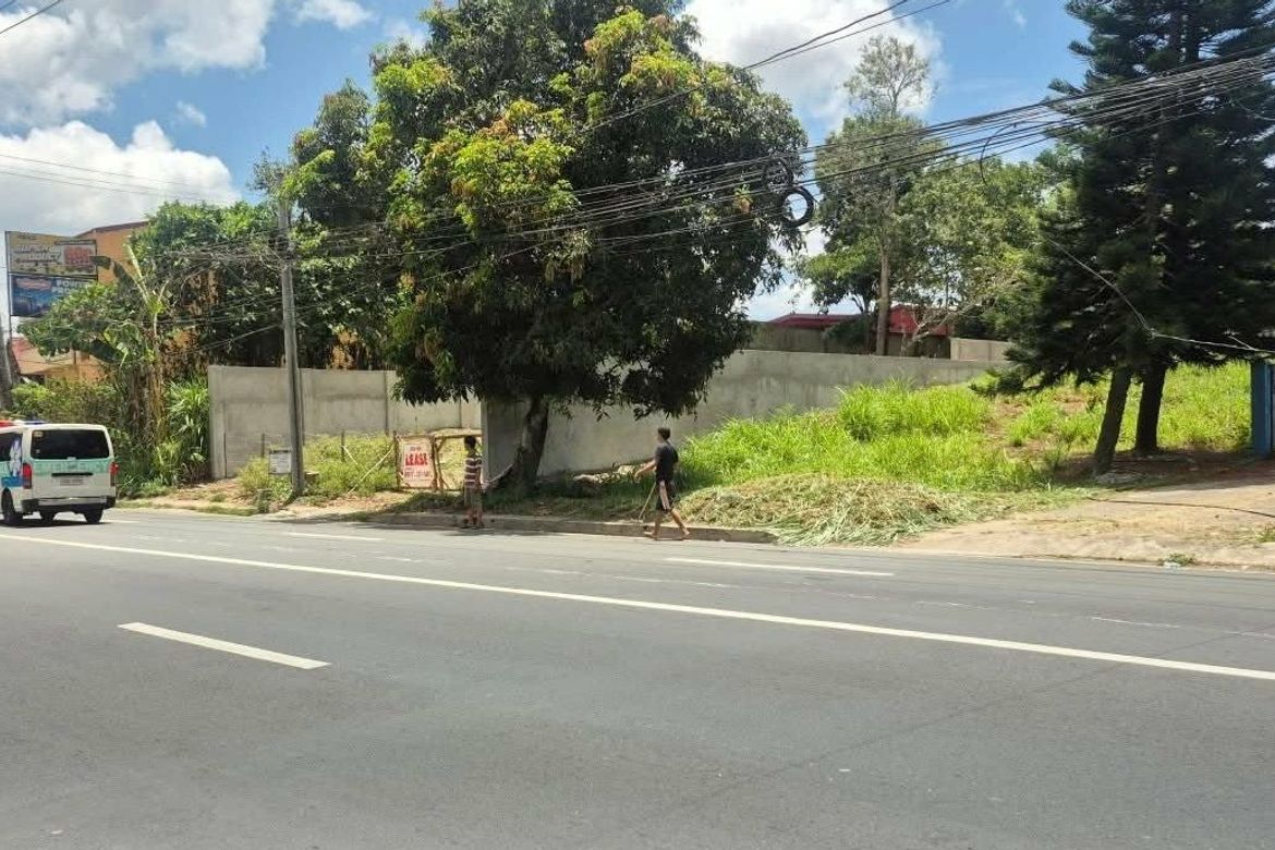 Land for Sale in Loma, Amadeo, Cavite – photo 4