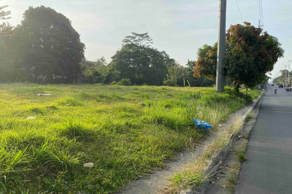Land for Sale in Loma, Amadeo, Cavite – photo 2