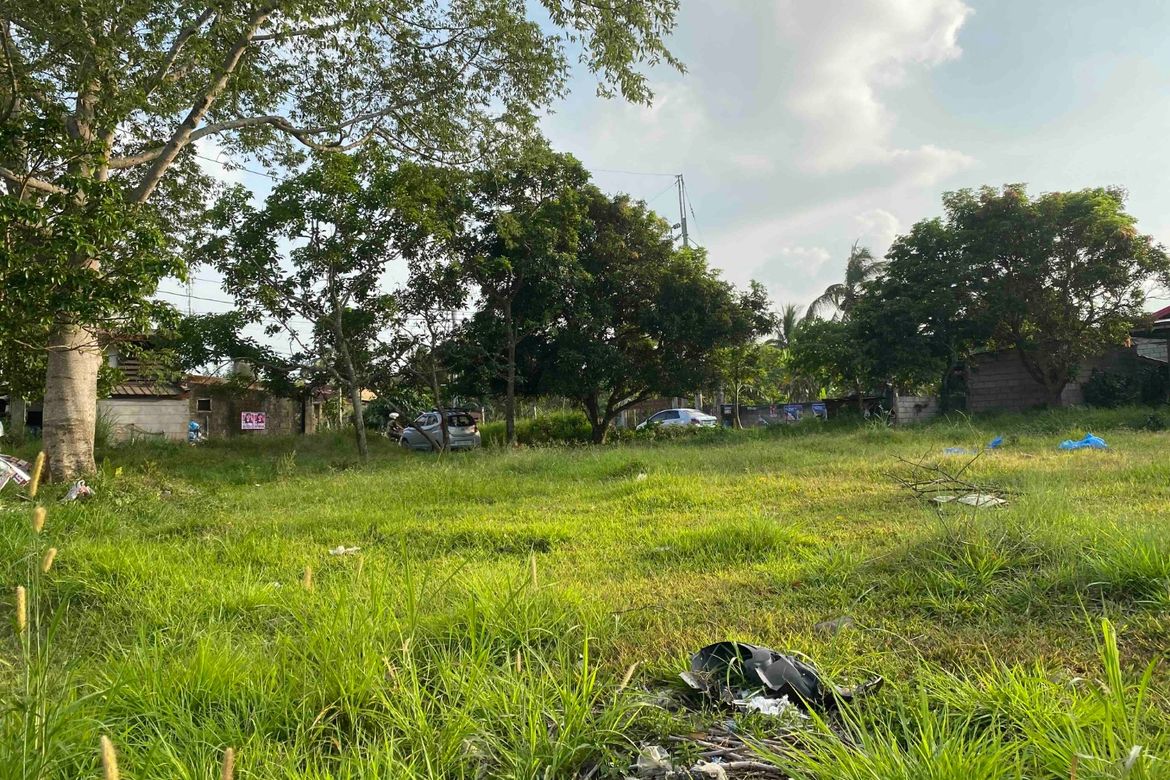 Land for Sale in Loma, Amadeo, Cavite – photo 3
