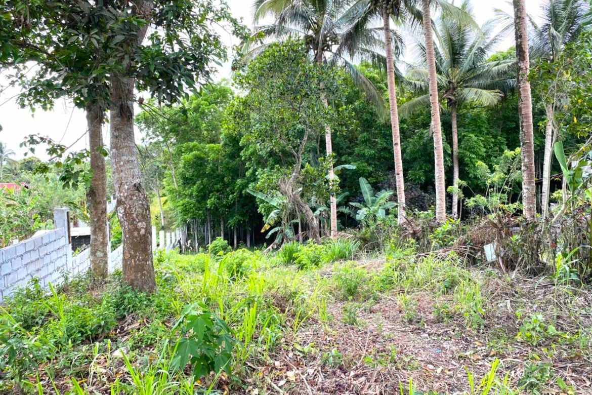 Land for Sale in Loma, Amadeo, Cavite