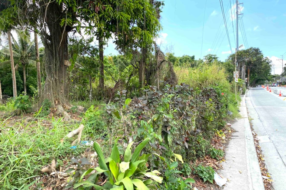 Land for Sale in Loma, Amadeo, Cavite – photo 3