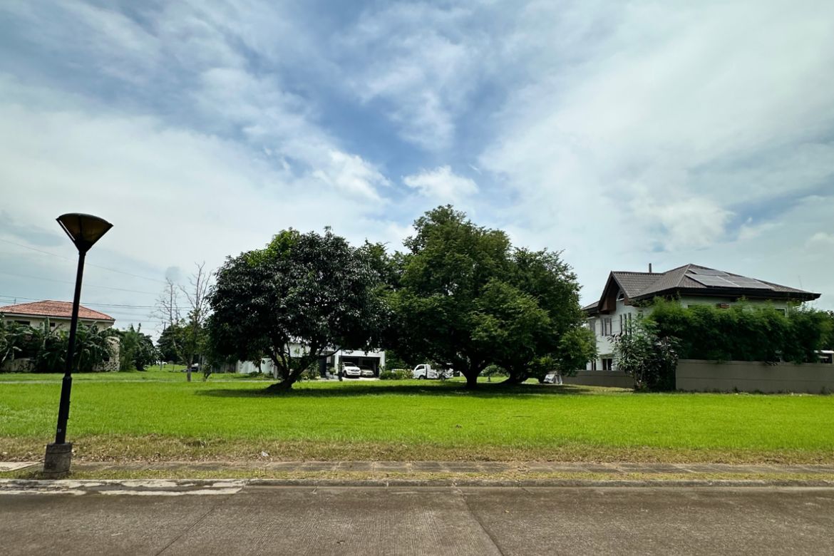 Land for Sale in Loma, Biñan, Laguna
