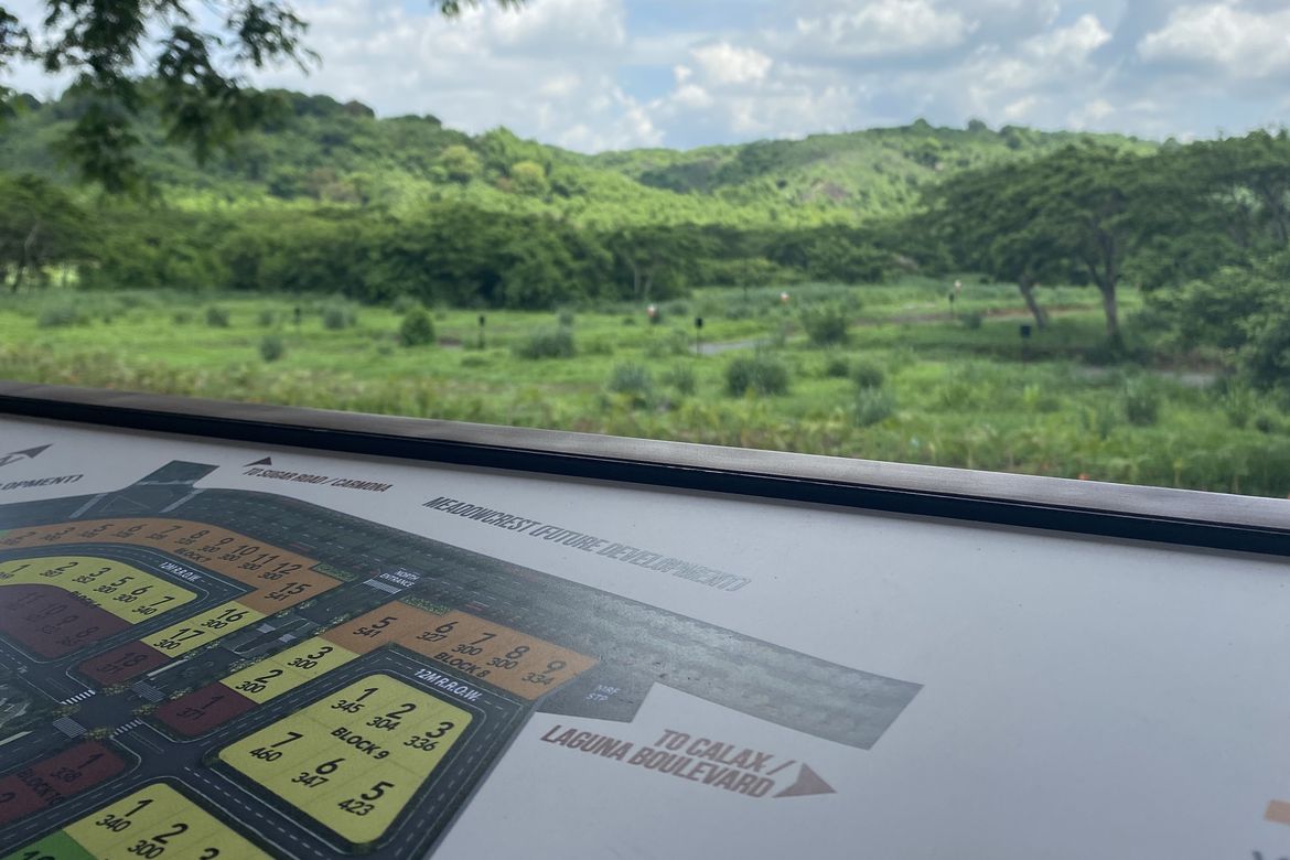 Land for Sale in Loma, Biñan, Laguna – photo 6