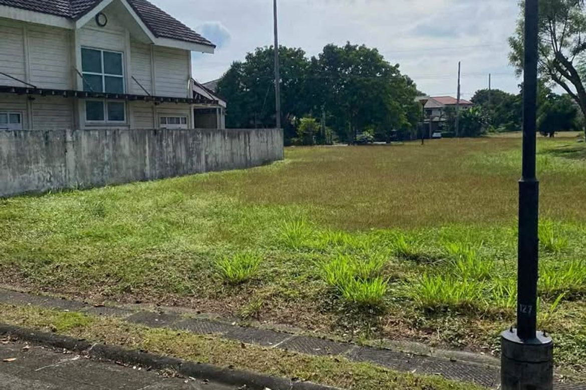 Land for Sale in Loma, Biñan, Laguna – photo 3