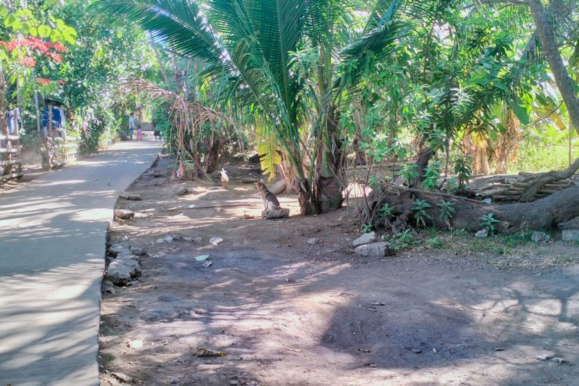 Land for Sale in Loma, Calaca, Batangas