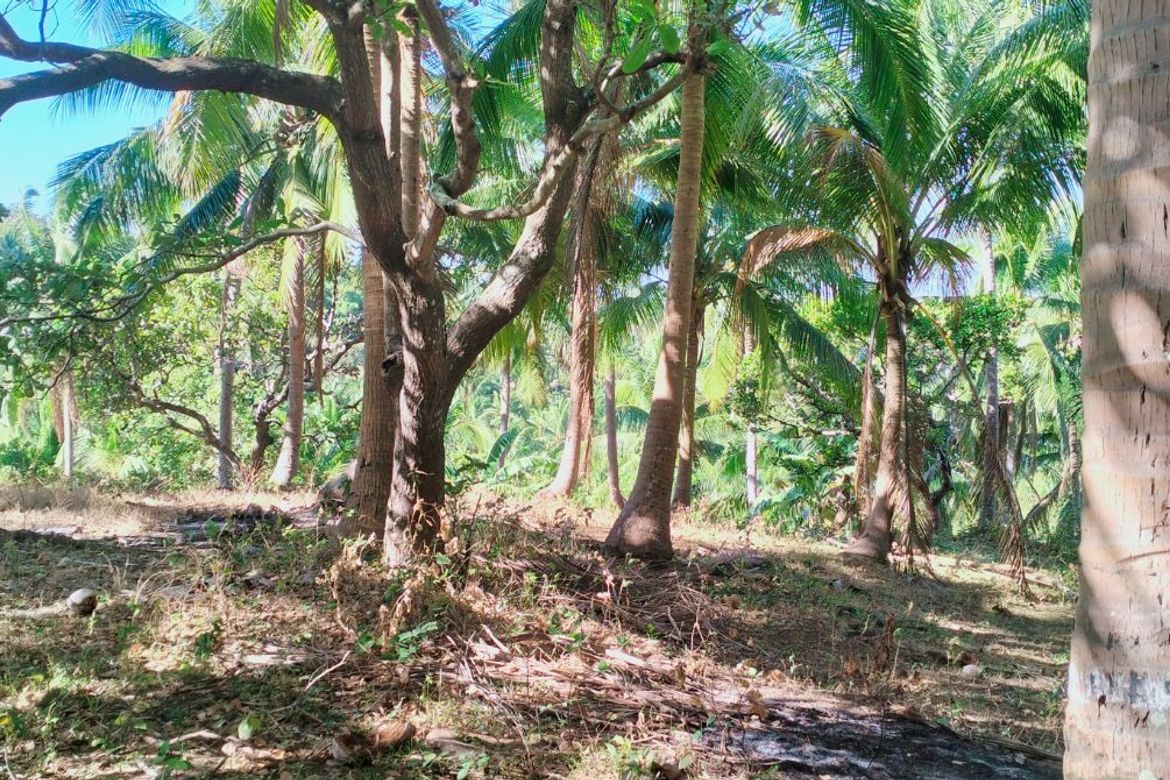 Land for Sale in Loma, Calaca, Batangas – photo 3