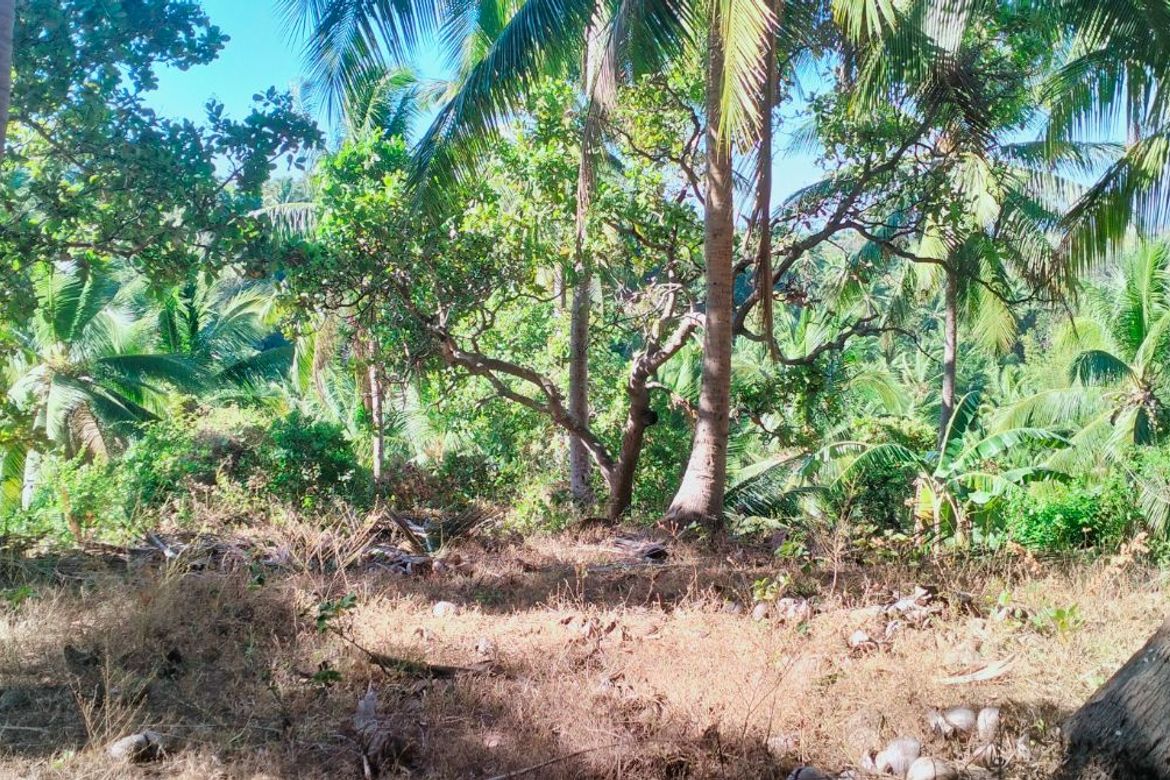 Land for Sale in Loma, Calaca, Batangas – photo 4
