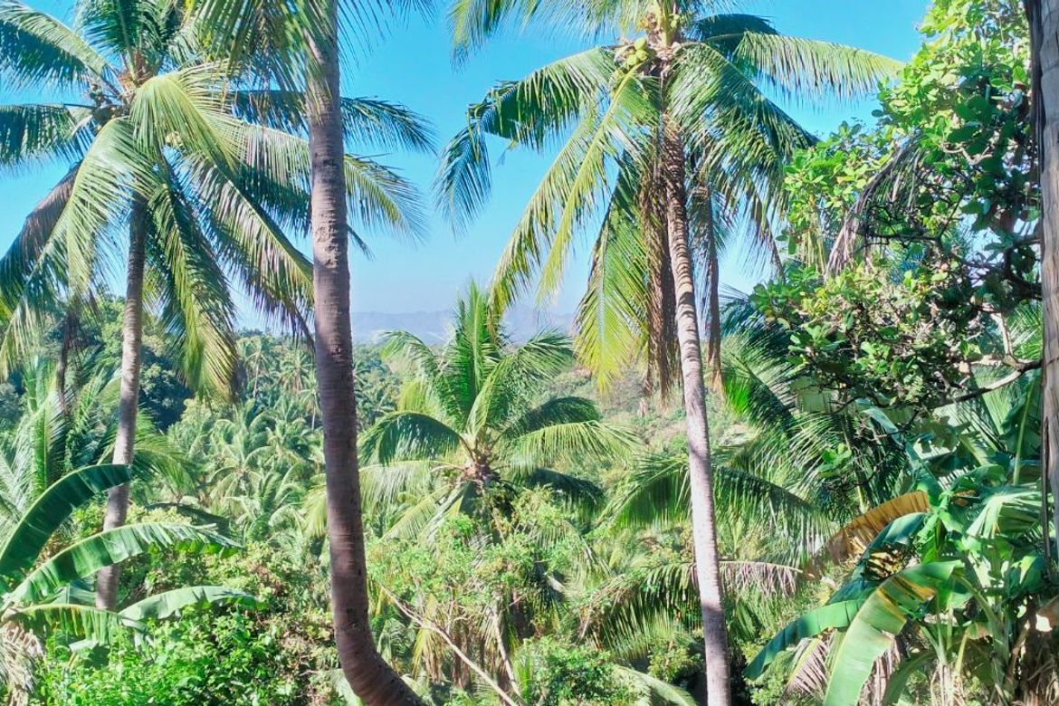 Land for Sale in Loma, Calaca, Batangas – photo 5