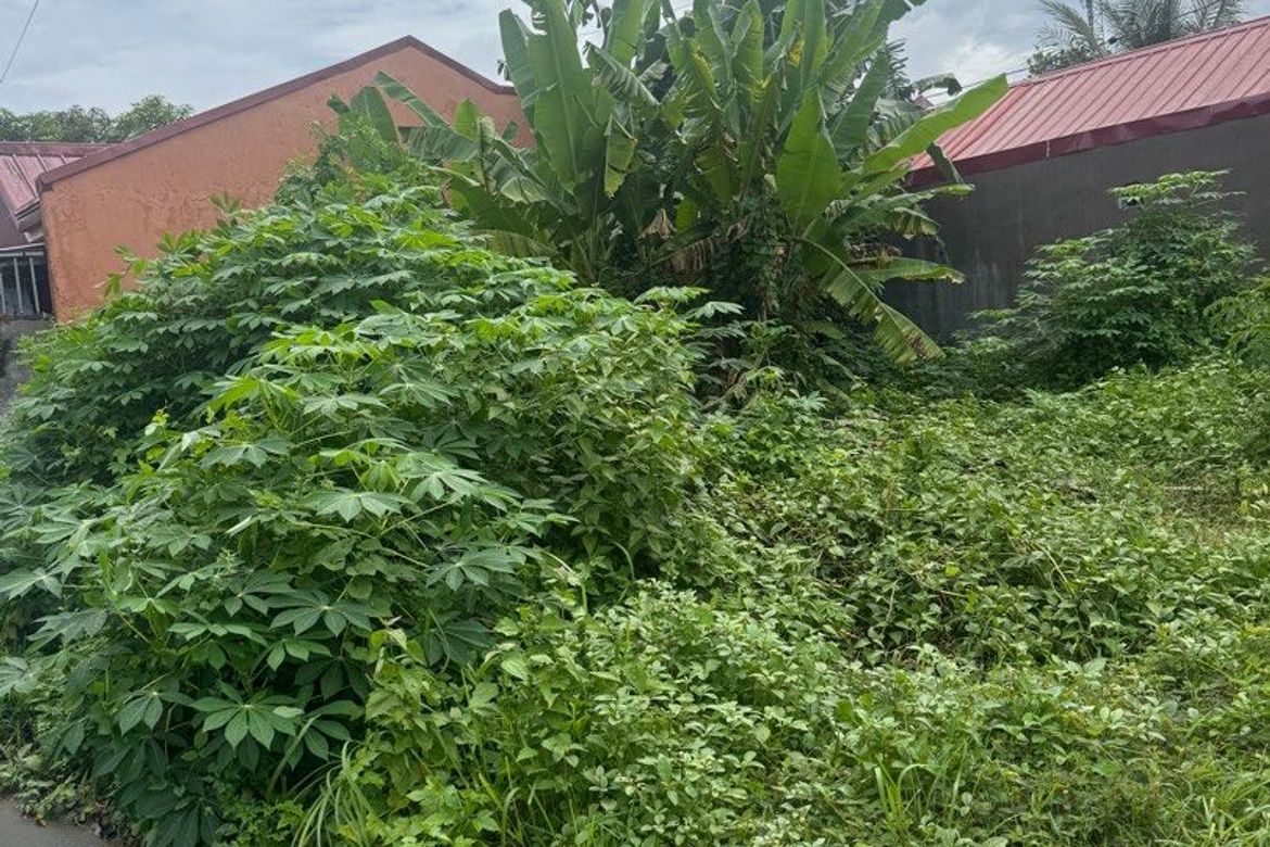 Land for Sale in Loma de Gato, Marilao, Bulacan – photo 2
