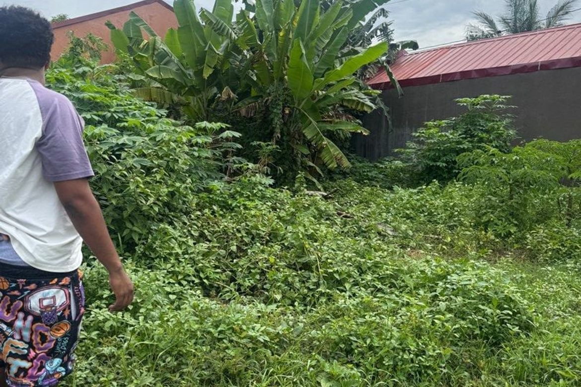 Land for Sale in Loma de Gato, Marilao, Bulacan – photo 3