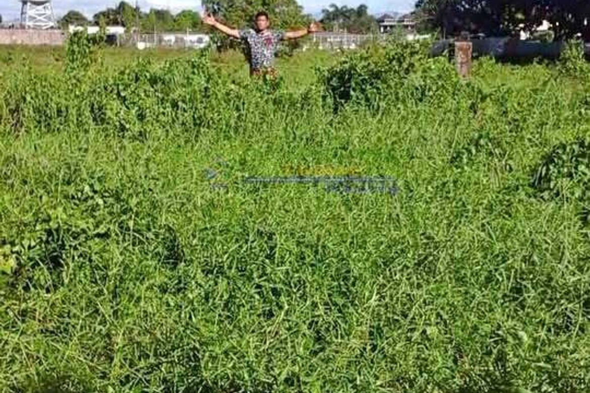 Land for Sale in Loma de Gato, Marilao, Bulacan – photo 2