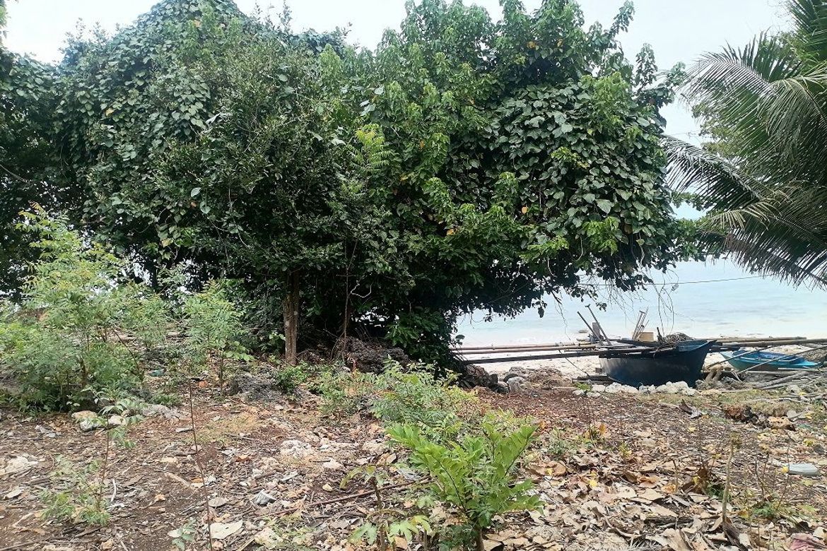 Land for Sale in Lomangcapan, Enrique Villanueva, Siquijor – photo 2