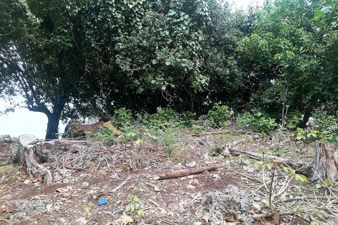 Land for Sale in Lomangcapan, Enrique Villanueva, Siquijor – photo 5