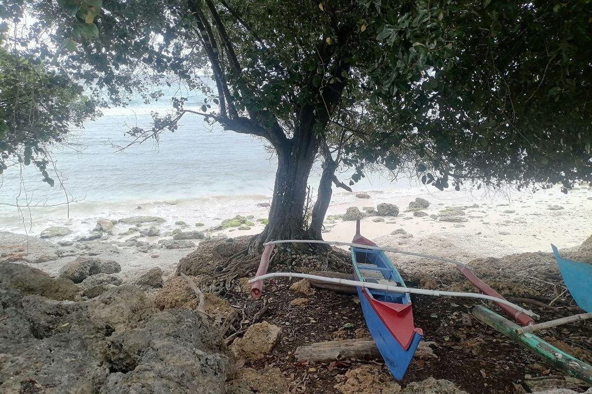 Land for Sale in Lomangcapan, Enrique Villanueva, Siquijor – photo 7