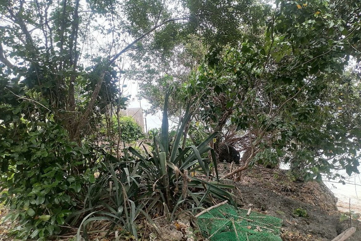 Land for Sale in Lomangcapan, Enrique Villanueva, Siquijor – photo 8