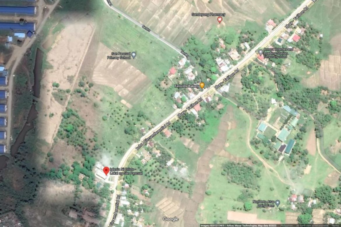 Land for Sale in Lomangog, Ubay, Bohol – photo 2