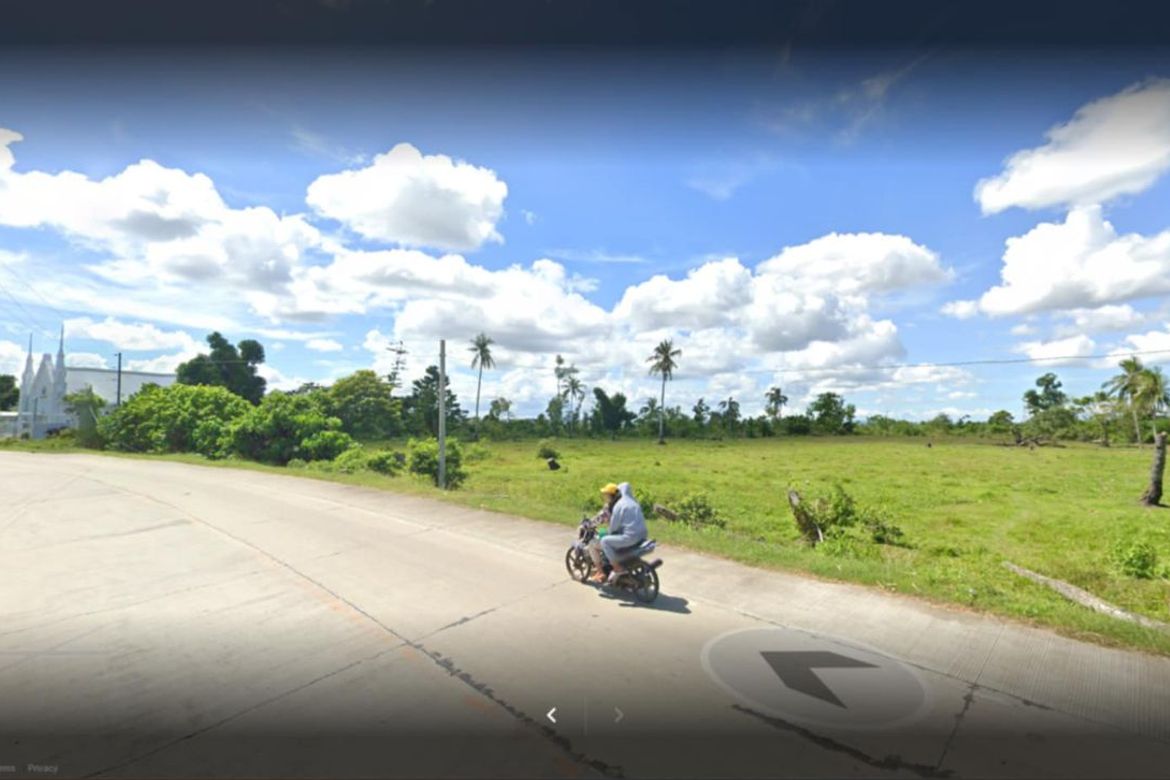 Land for Sale in Lomangog, Ubay, Bohol – photo 3