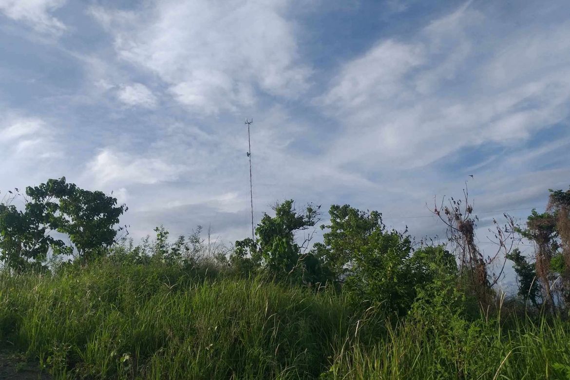 Land for Sale in Lomangog, Ubay, Bohol – photo 6