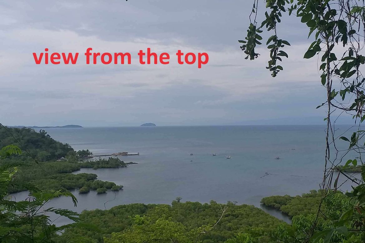 Land for Sale in Lomangog, Ubay, Bohol – photo 7
