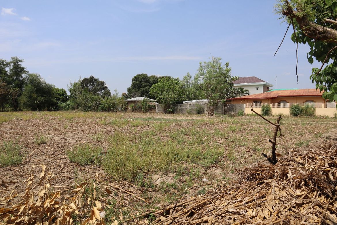 Land for Sale in Lomboy, Villasis, Pangasinan – photo 3