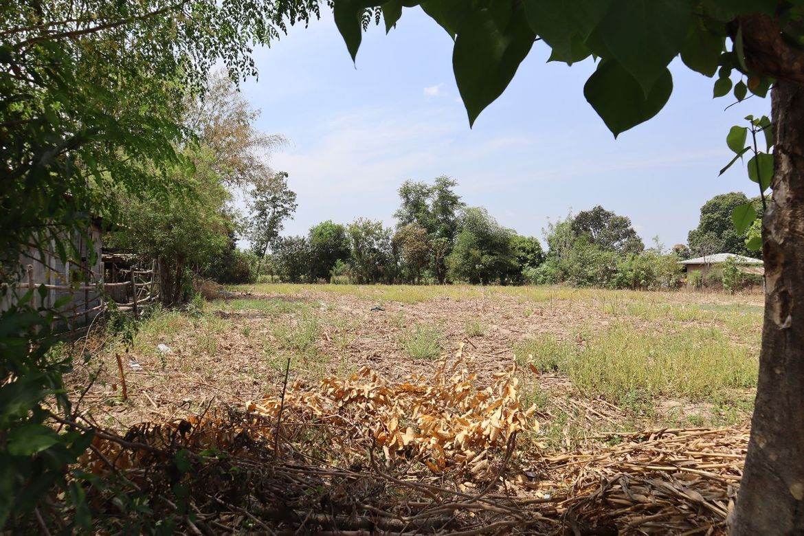 Land for Sale in Lomboy, Villasis, Pangasinan – photo 4
