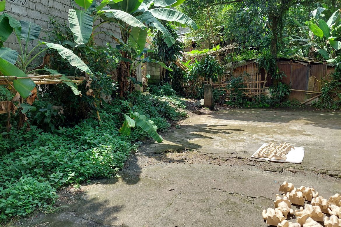 Land for Sale in Longos, Kalayaan, Laguna – photo 8