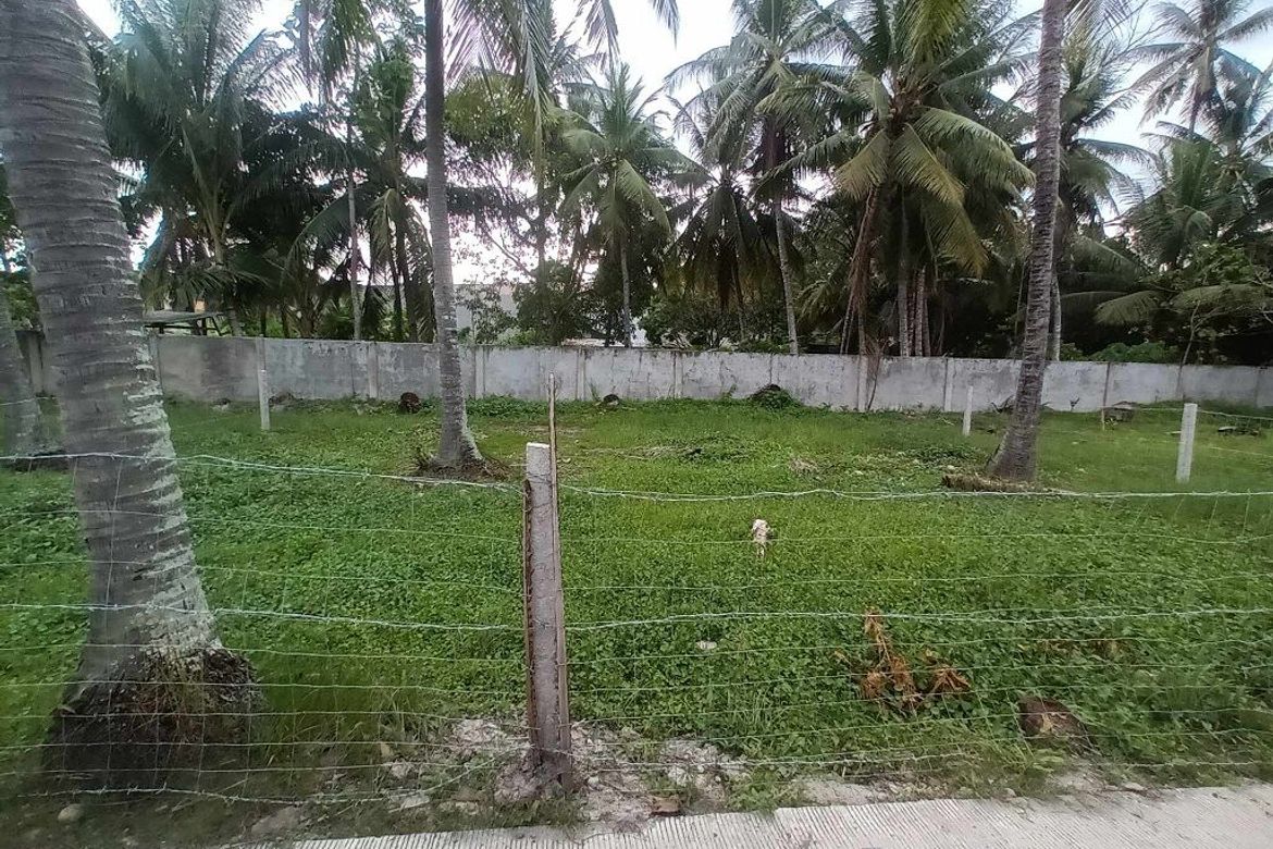 Land for Sale in Looc, Dumaguete, Negros Oriental – photo 4