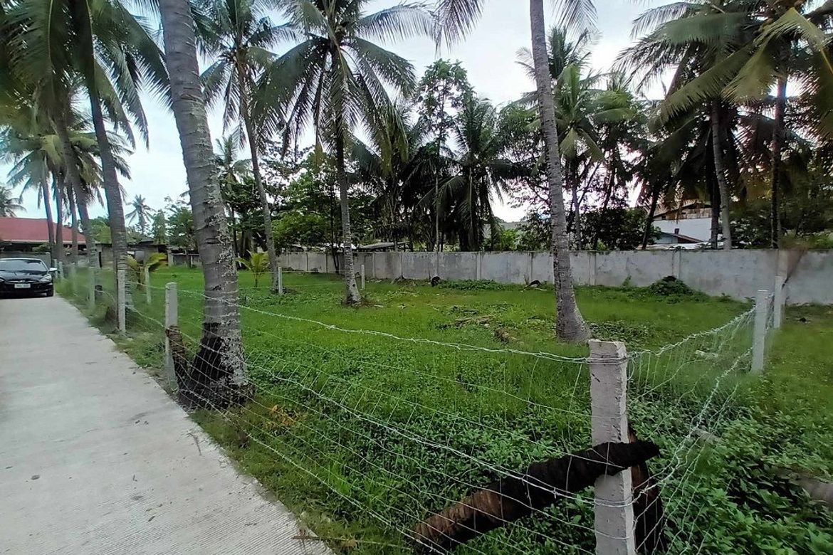 Land for Sale in Looc, Dumaguete, Negros Oriental – photo 5