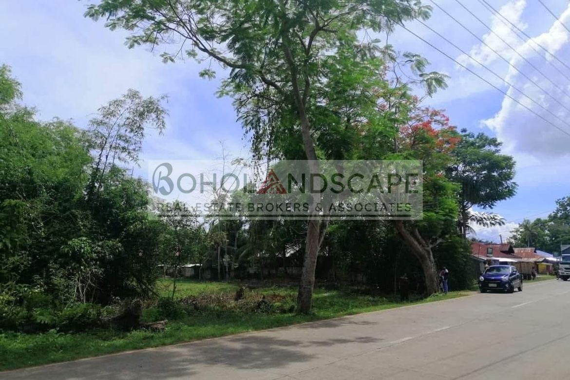 Land for Sale in Looc, Panglao, Bohol
