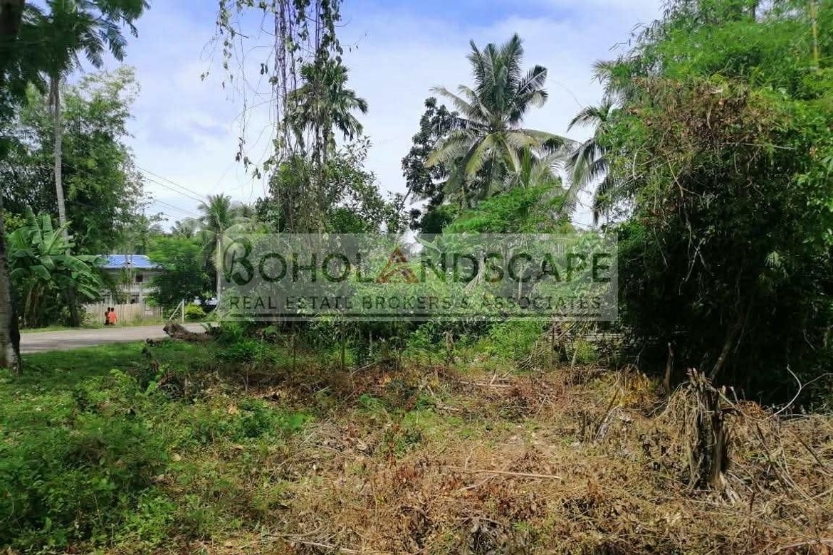 Land for Sale in Looc, Panglao, Bohol – photo 3